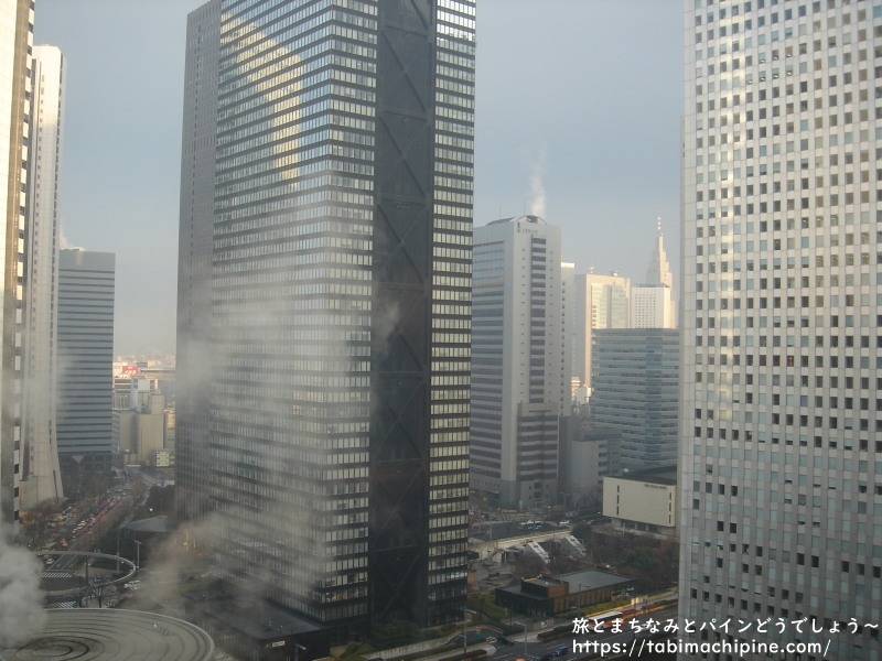 東京の風景 西新宿の超高層ビル街 06 01 旅とまちなみとパインどうでしょう