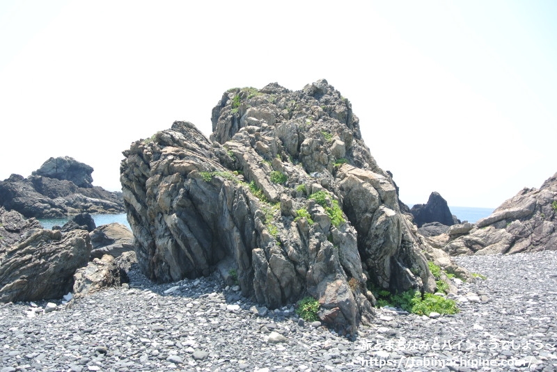 高知観光 室戸岬 旅とまちなみとパインどうでしょう